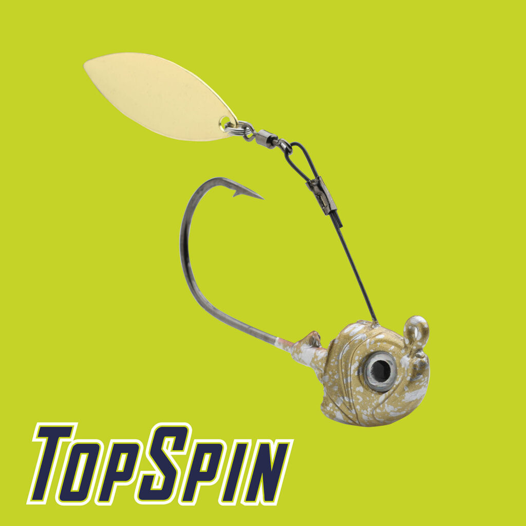 Top Spin®